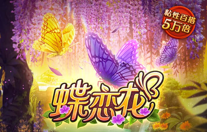 温园纨