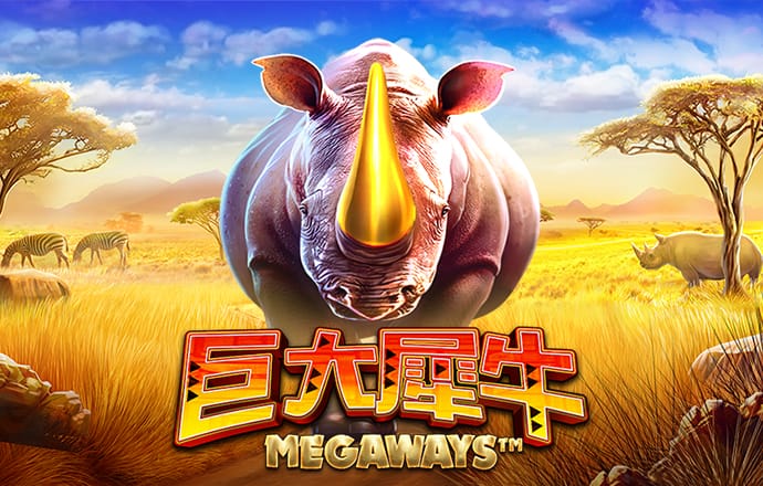 im电竞入口