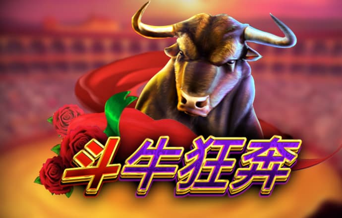 大红鹰dhy