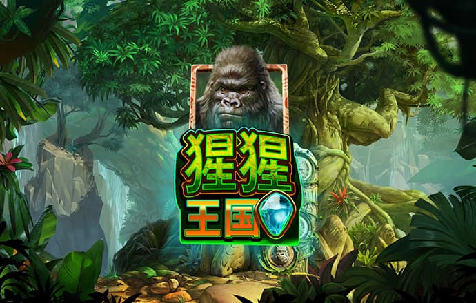 速赢彩app下载